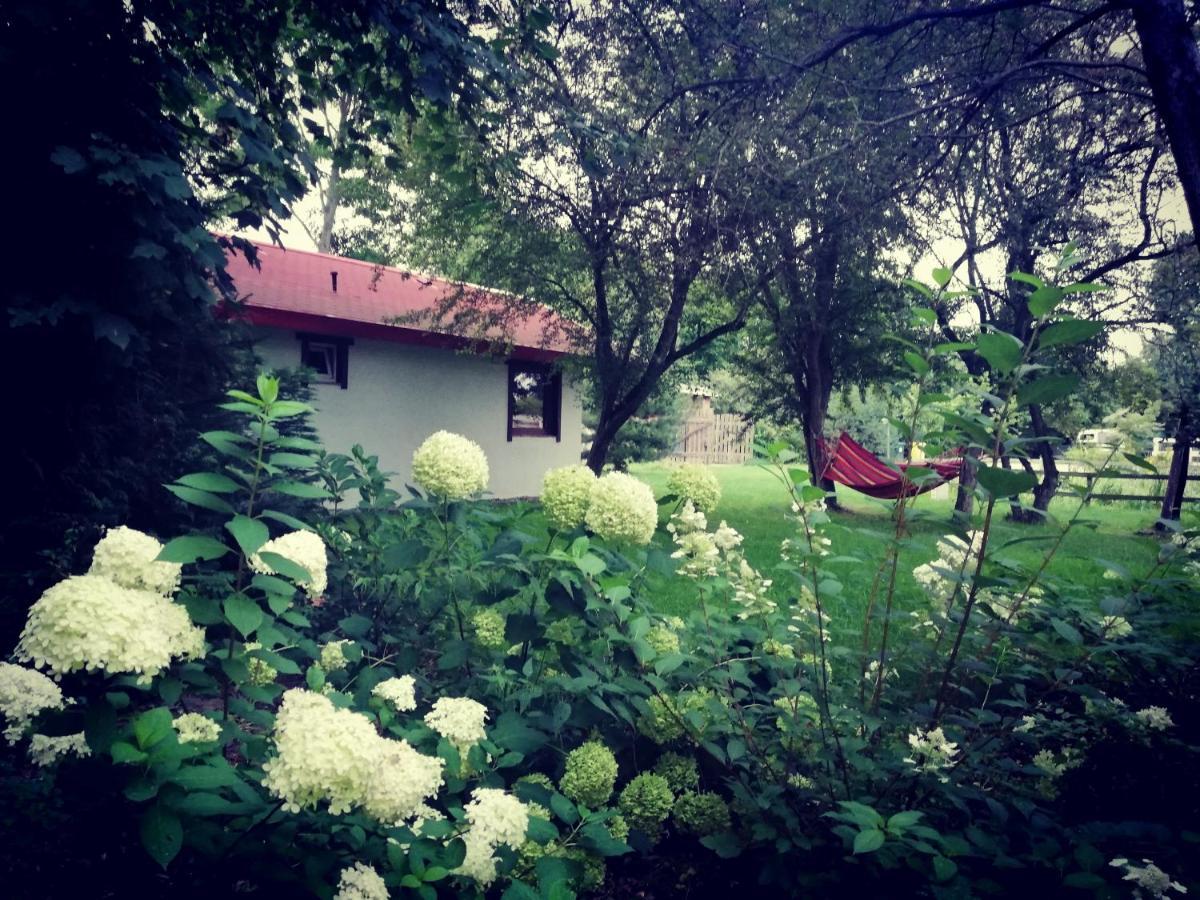 Babie Lato Villa Wlodarka Екстериор снимка